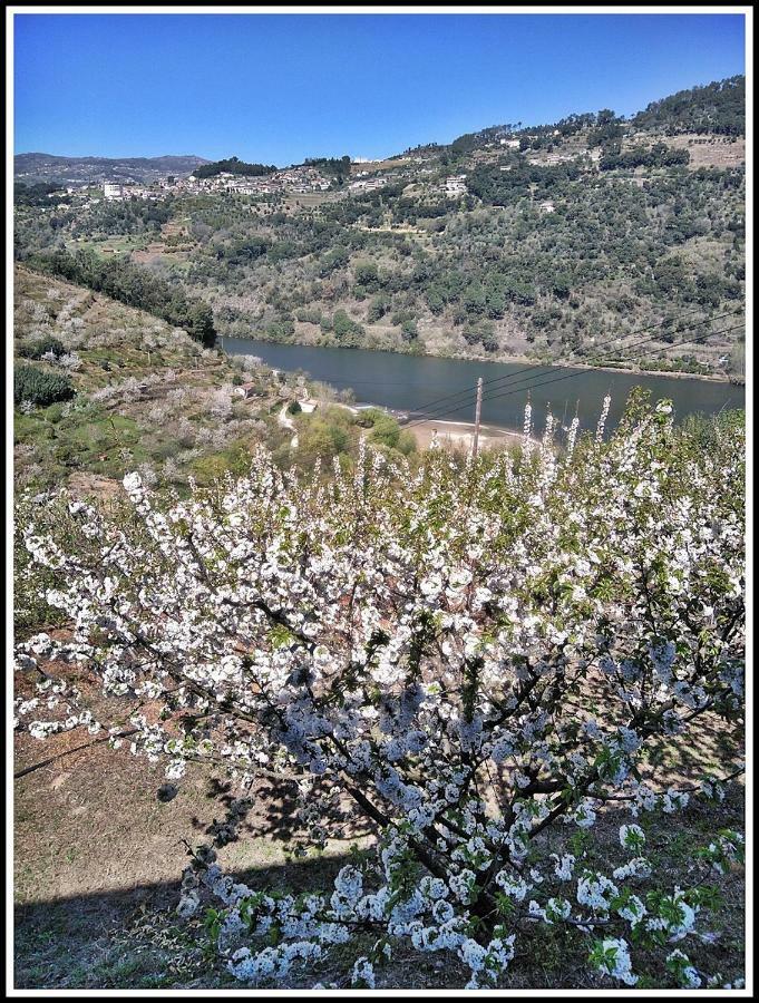 Douro Balcony Villa Resende Exterior photo